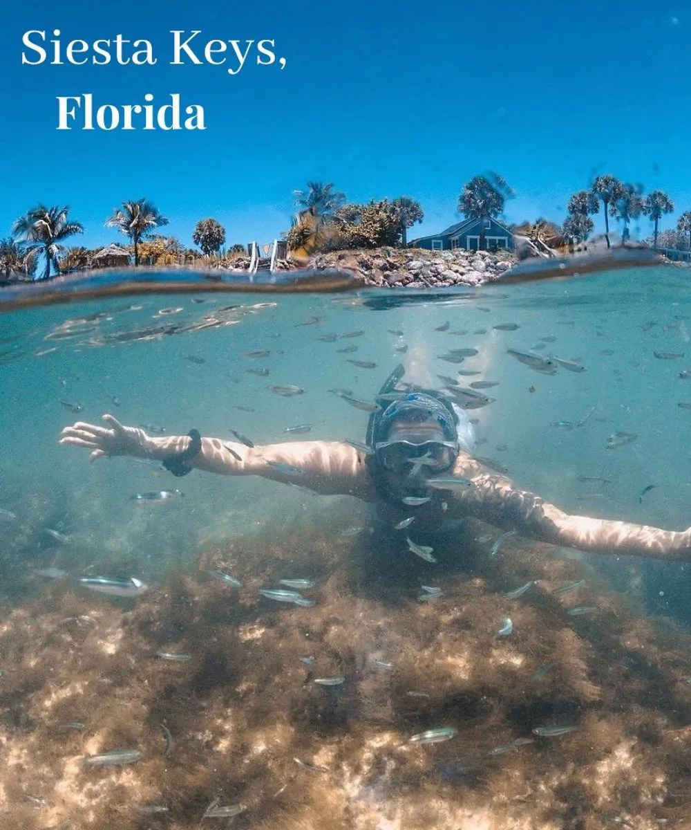 9696 siesta key resort pool