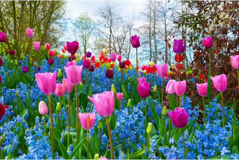 9701 mountain retreat