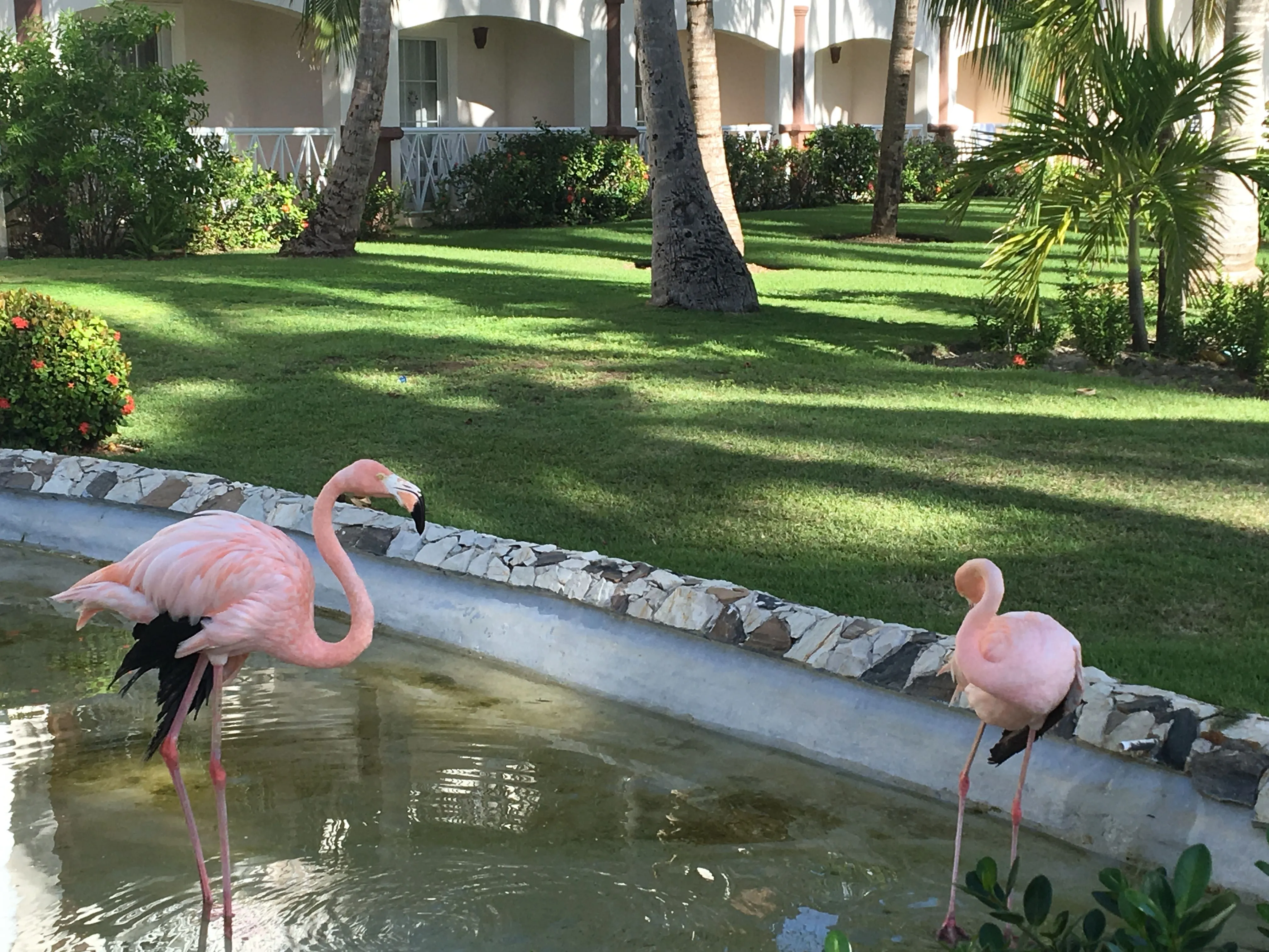 9710 adventure activities honeymoon