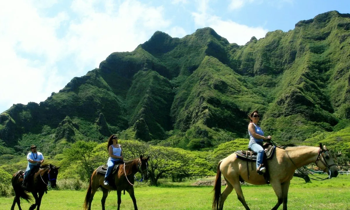9712 romantic dinner hawaii