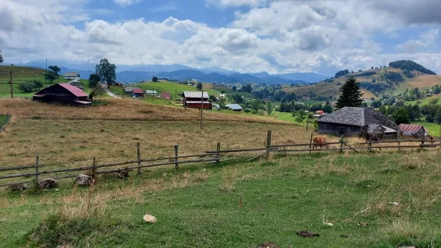 9714 romania honeymoon wine