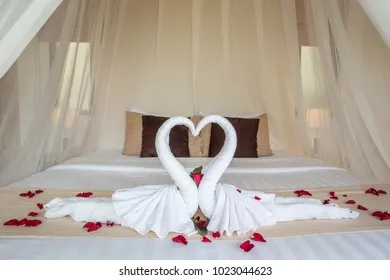 /img/9716-honeymoon-bedroom-decor.webp