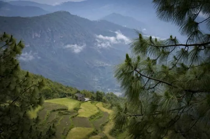 9717 imperial hotel delhi