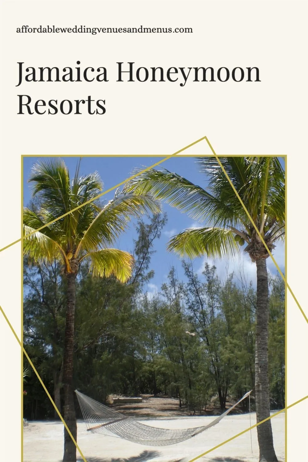 9719 secrets wild orchid