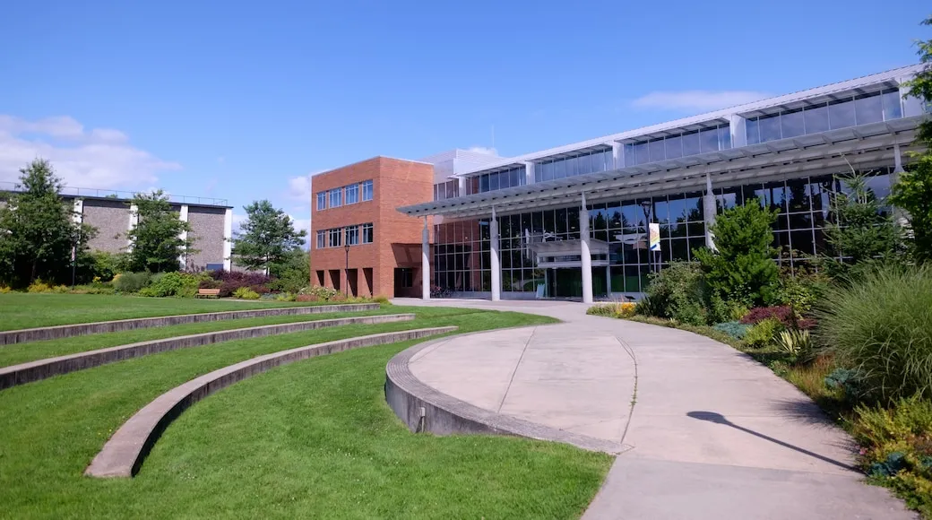 9721 portland skyline at sunset