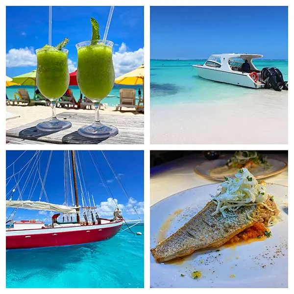 9722 the reef cuisinart