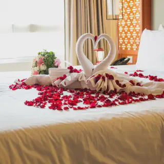 /img/9735-honeymoon-activities.webp