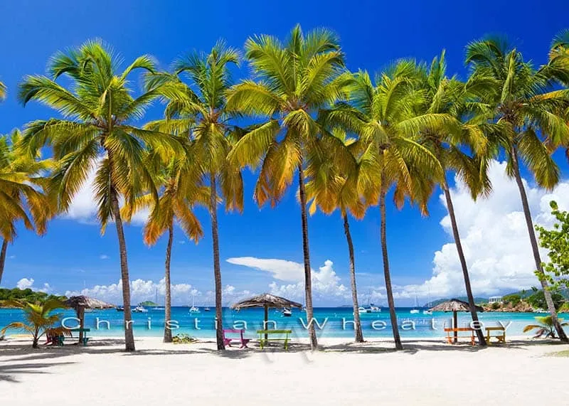 9743 honeymoon island spring