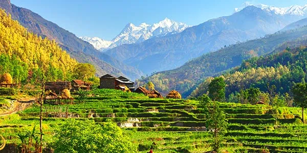 9752 couple spa treatment