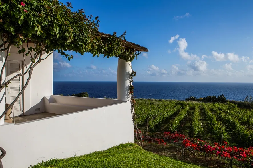 9762 ravello honeymoon