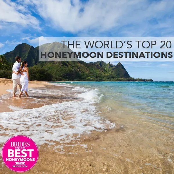 9765 tropical cocktails