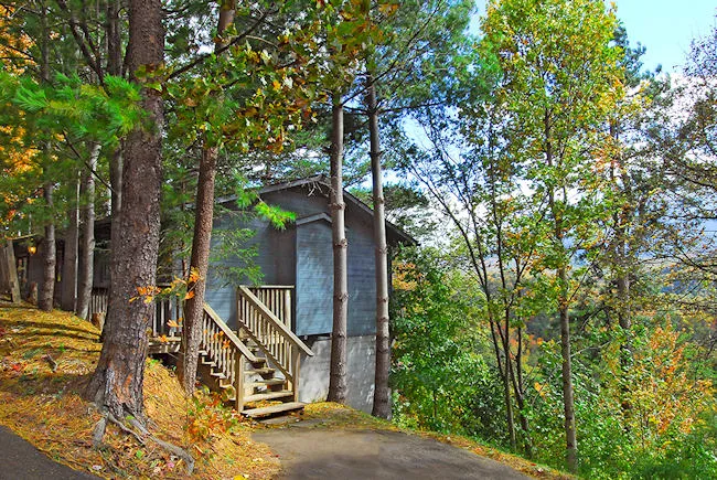 9767 cabin fireplace