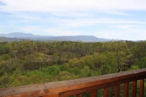 9767 pigeon forge attractions