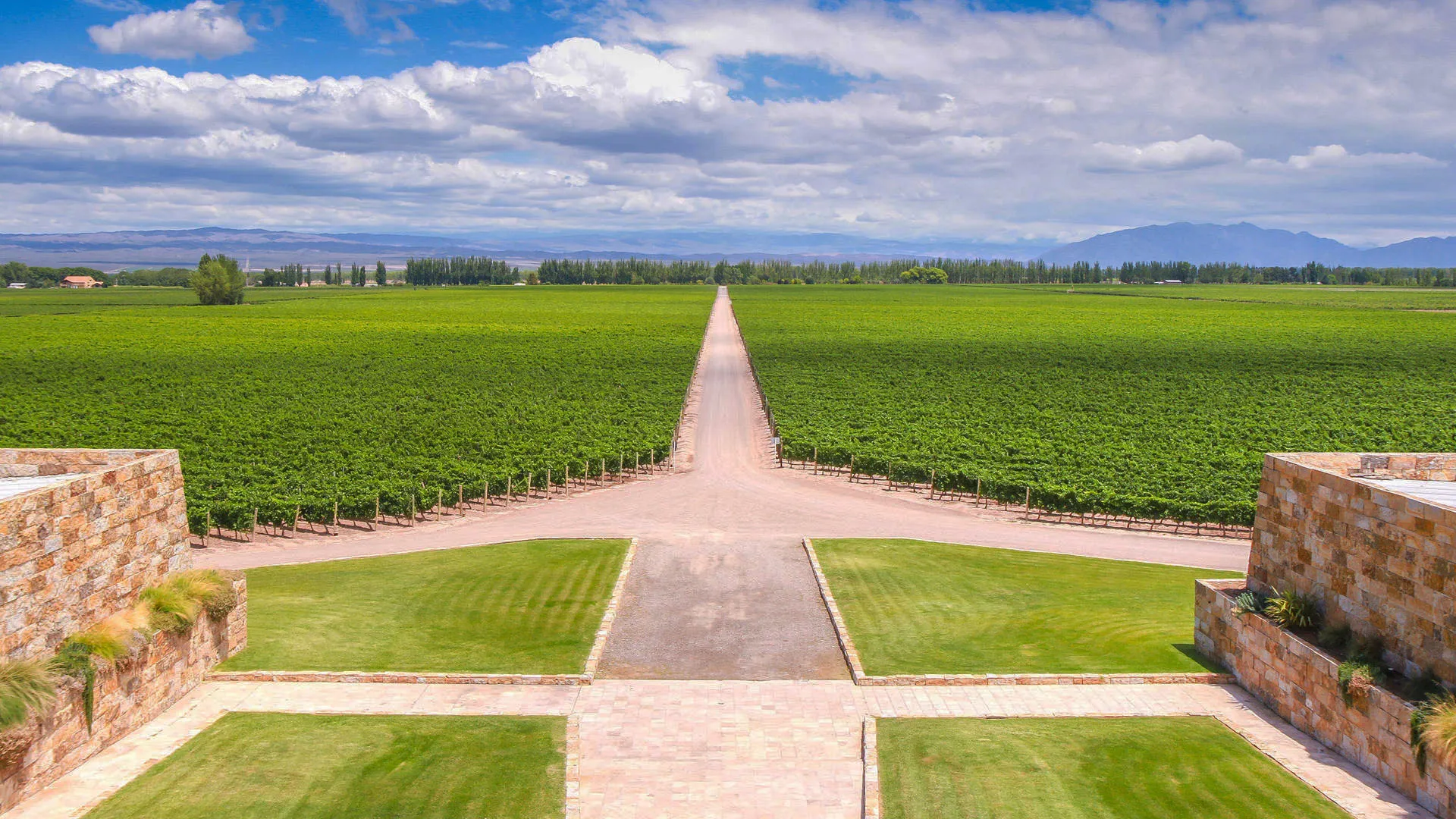 9770 romantic dinner argentina