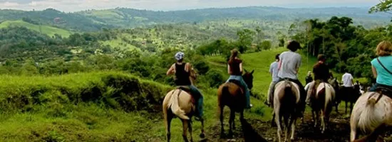 9788 manuel antonio beach