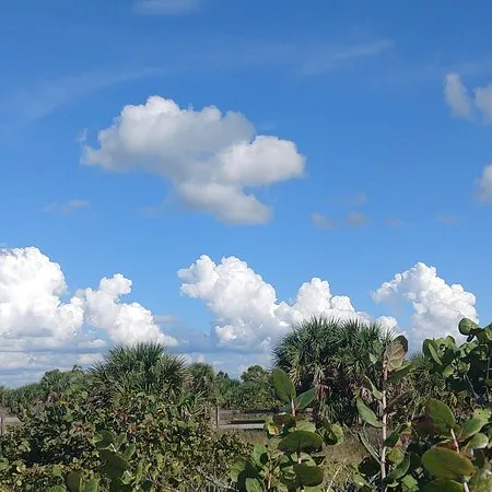 9797 honeymoon island kayaking