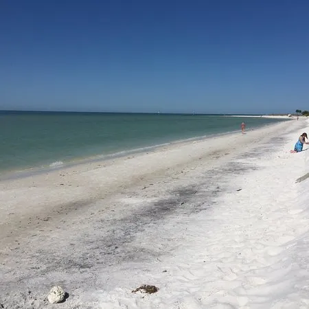9797 honeymoon island nature trail