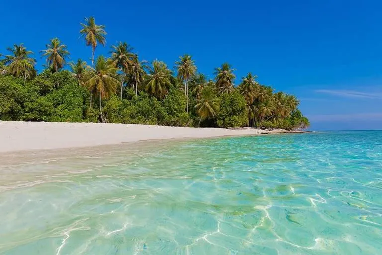 9798 kyoto honeymoon