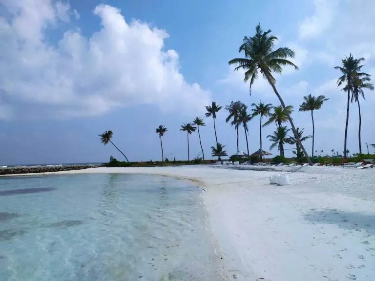 9798 vineyard tuscany