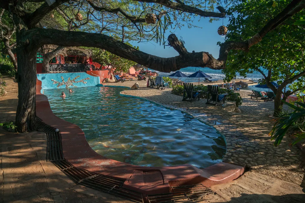 9800 jamaica honeymoon dinner