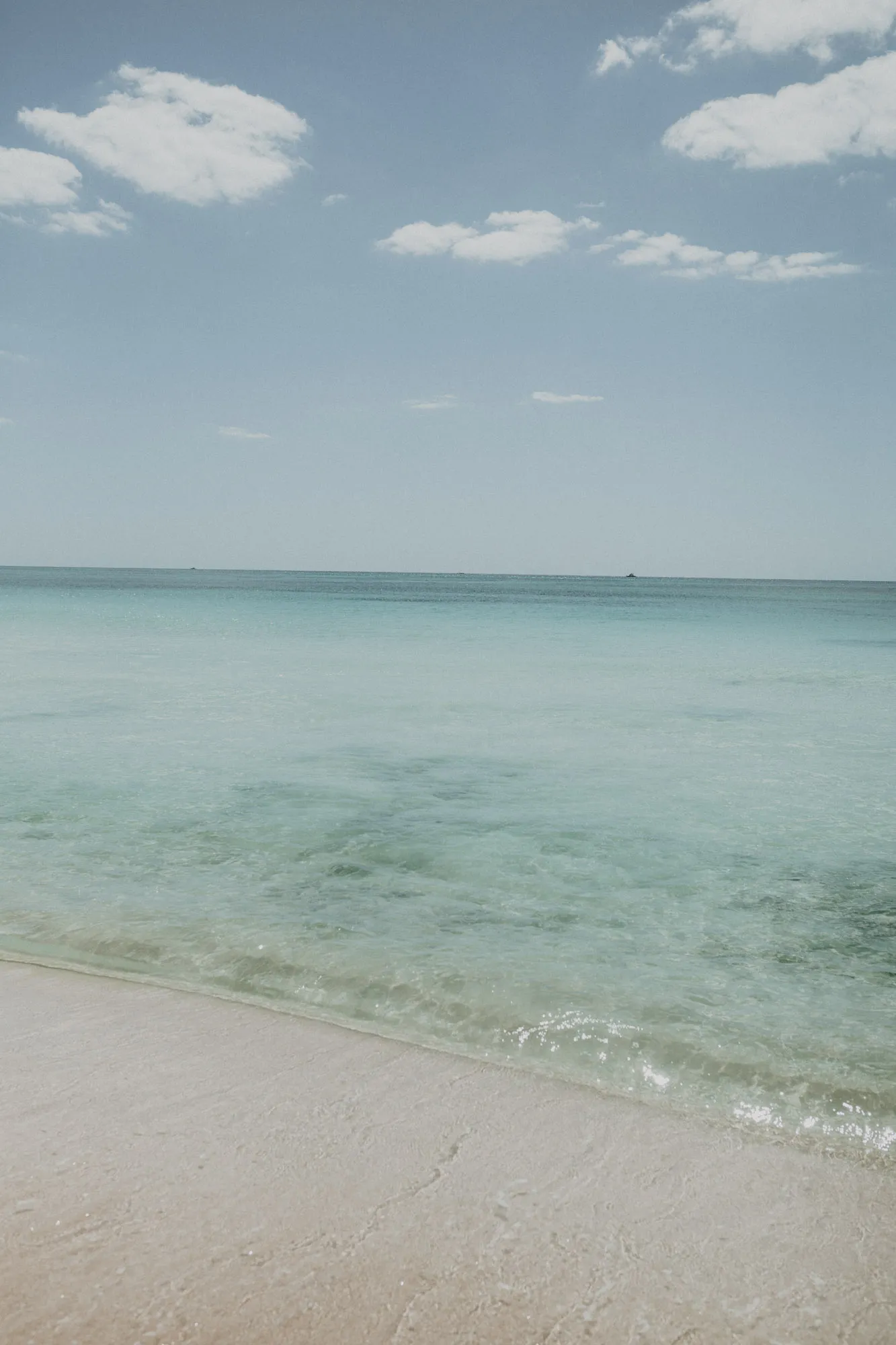 9807 los cabos honeymoon