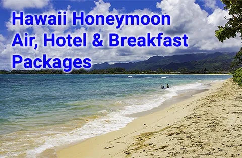 9817 hawaii honeymoon resort