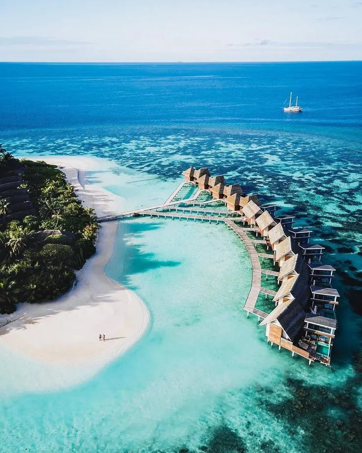 9824 romantic dinner honeymoon