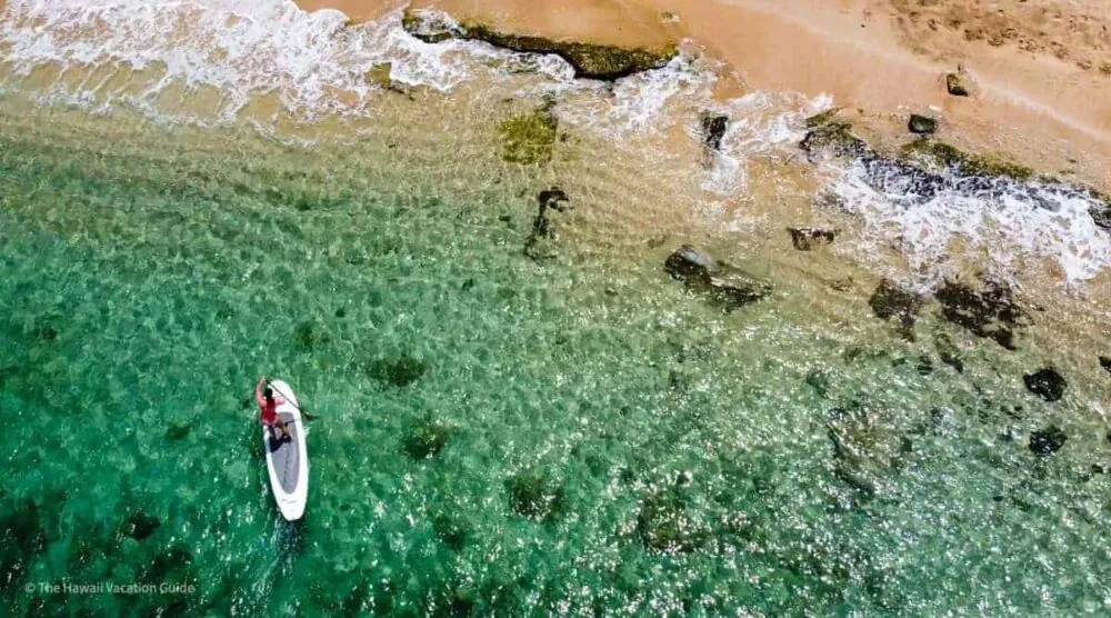 9830 hawaii honeymoon food