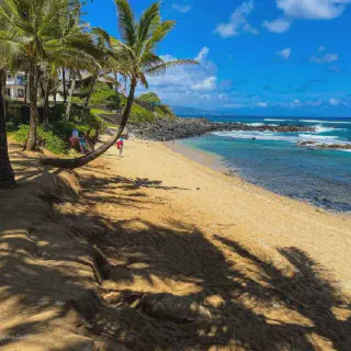 /img/9830-hawaii-honeymoon-savings.webp