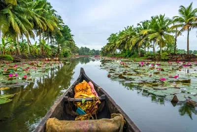 9855 wayanad paradise