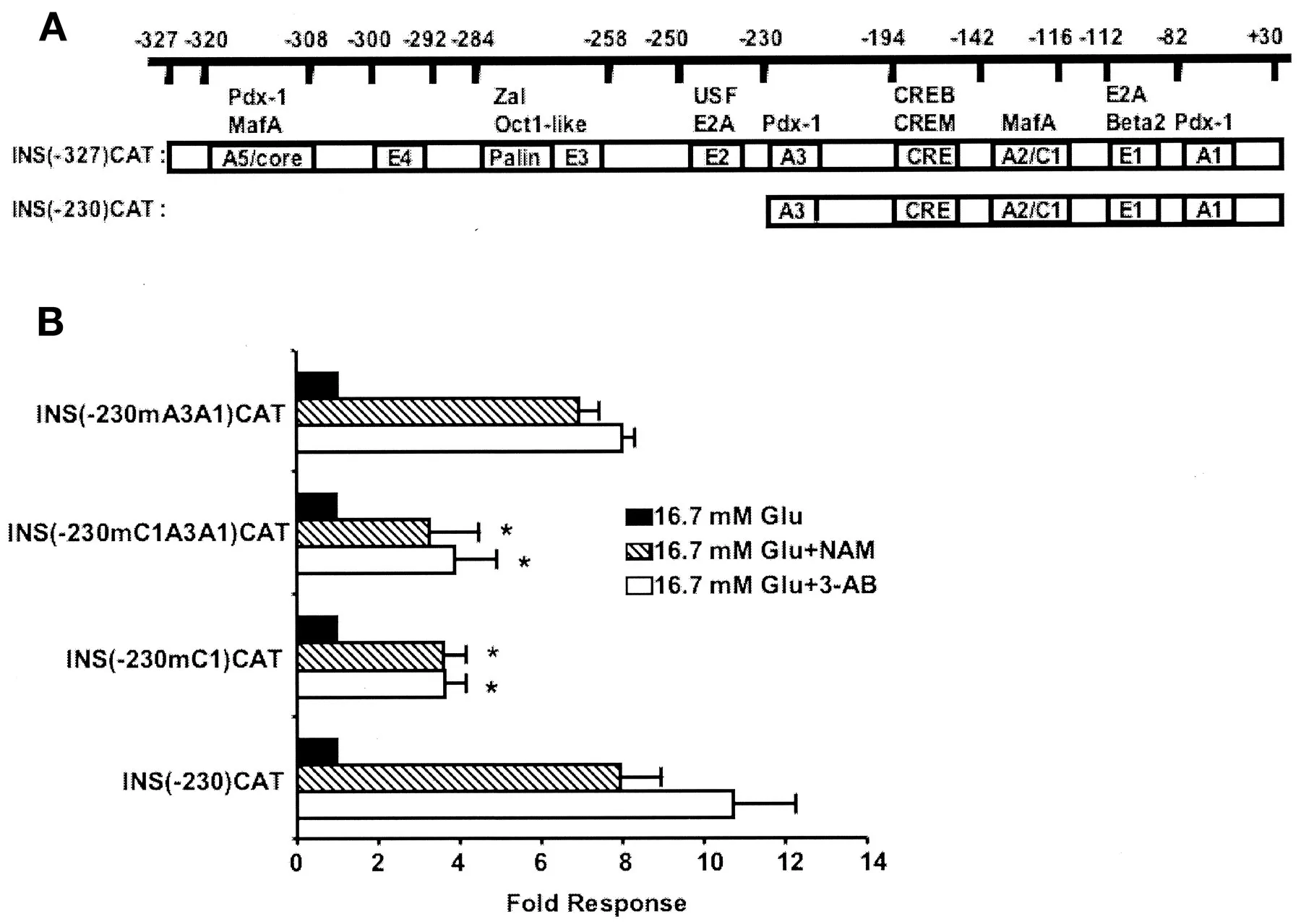 9869 diabetes honeymoon intro