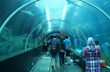 9874 singapore honeymoon package