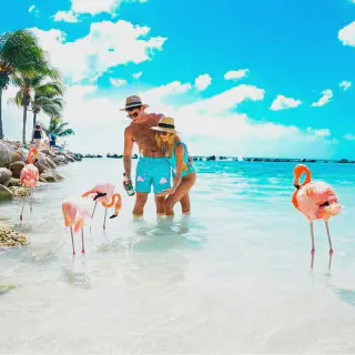 /img/9881-aruba-beach-romance.webp