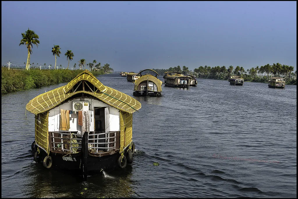 9885 kerala backwater cruise