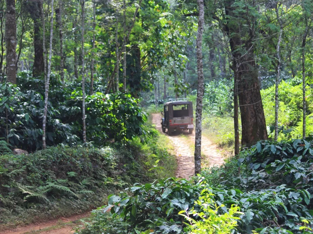 9888 couple beach walk