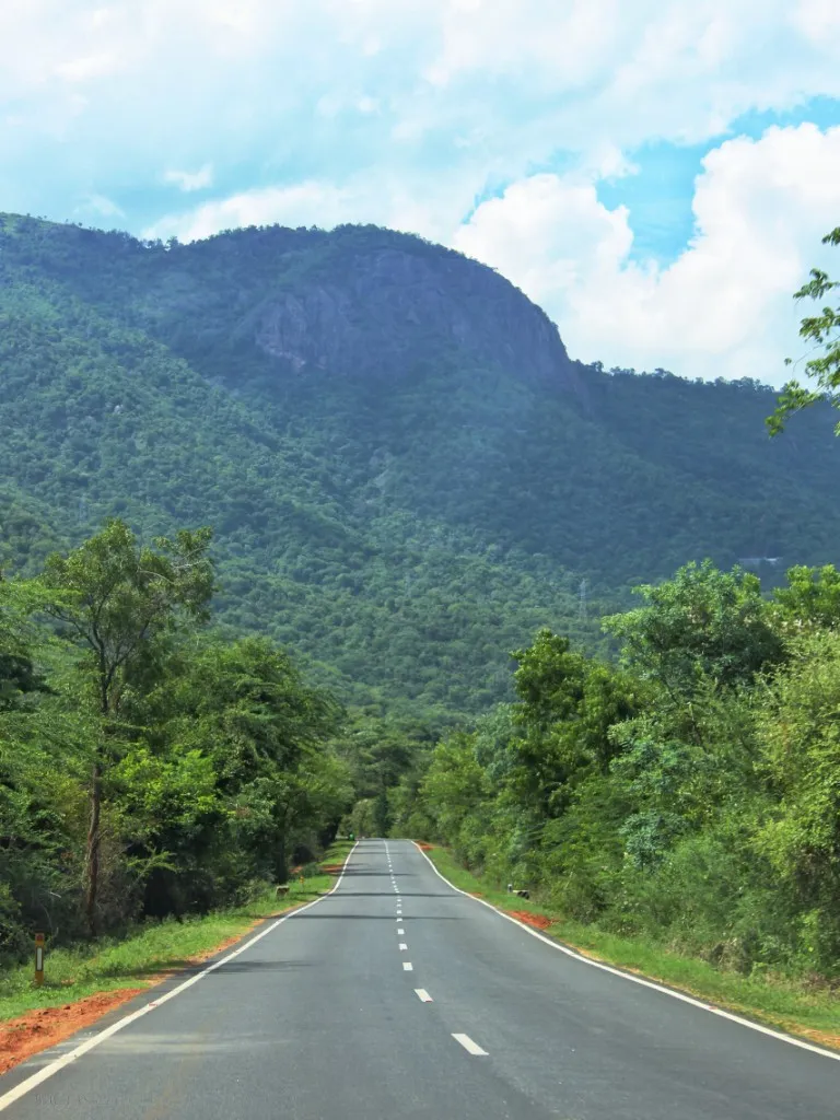 9888 eiffel tower romance