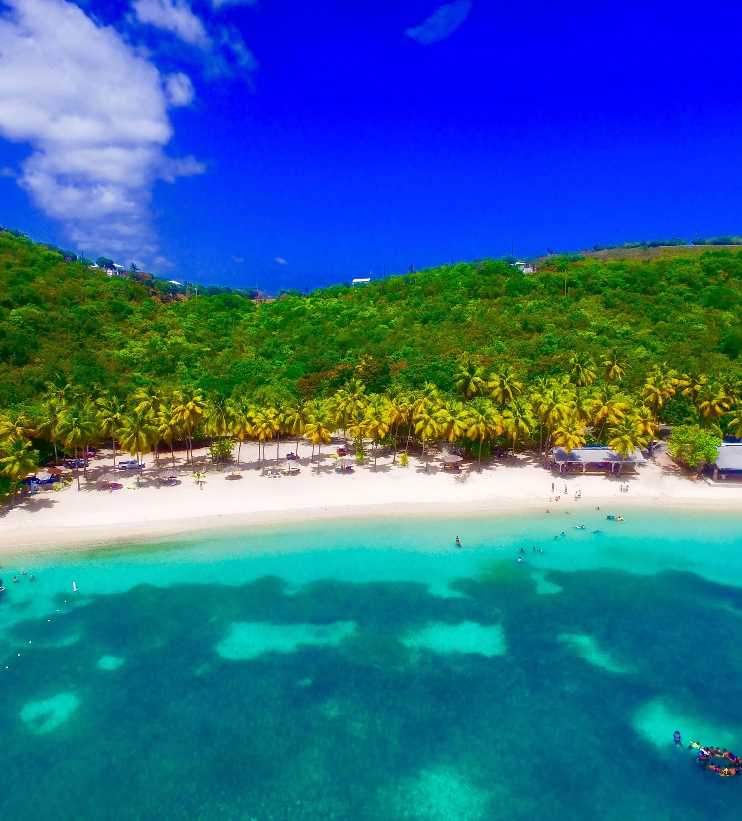 9901 local cuisine water island