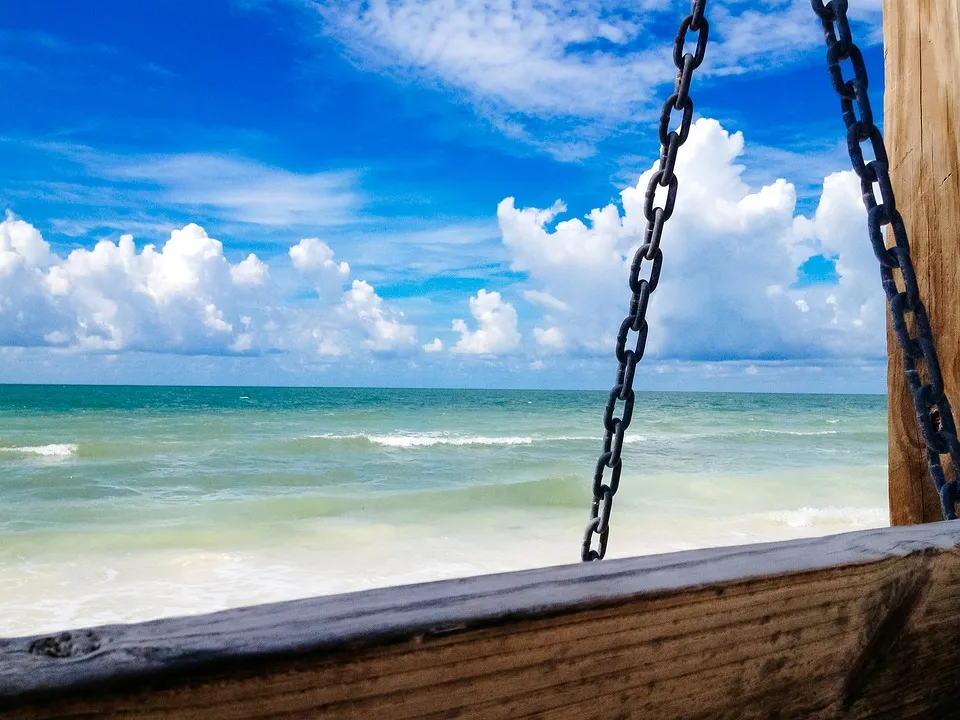 9901 snorkeling water island