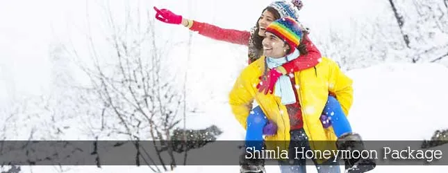 9909 shimla honeymoon activities