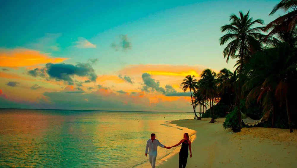 9911 honeymoon in india rajasthan palace