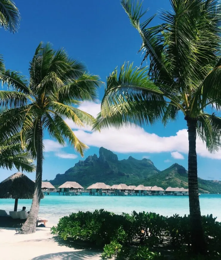 9916 tropical beach honeymoon