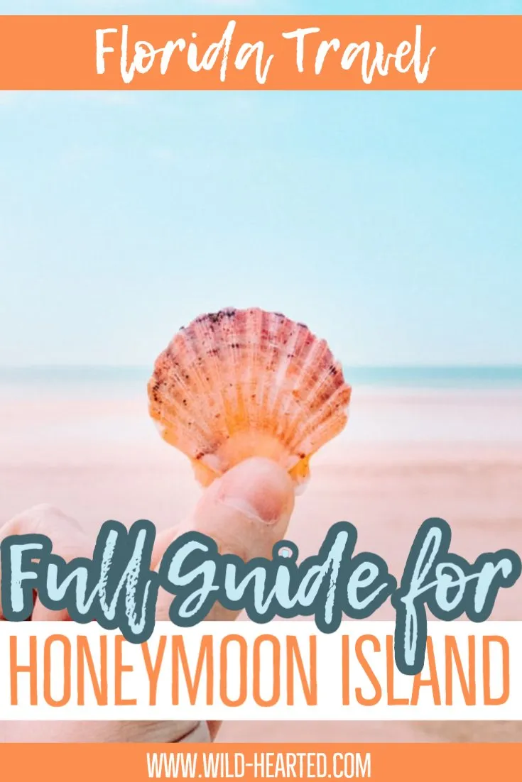 9921 honeymoon island picnic