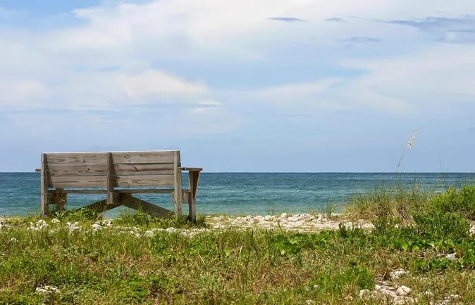 9924 channelside tampa honeymoon