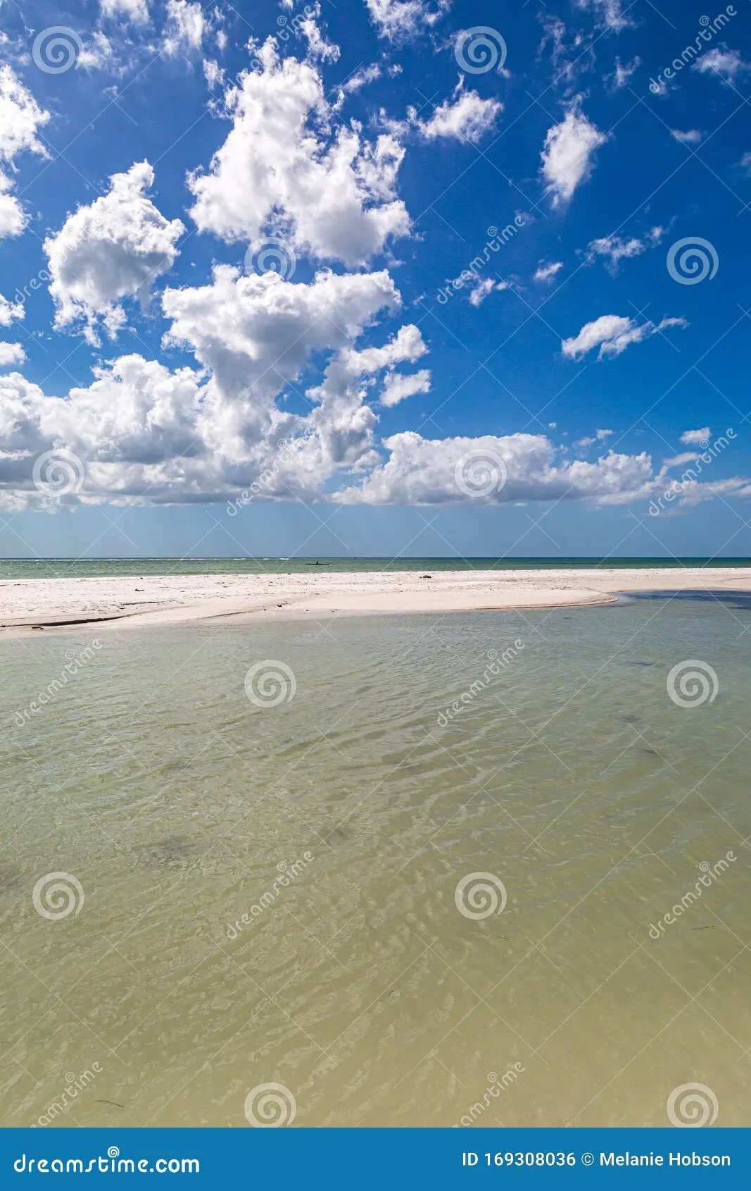 9924 romantic restaurant tampa