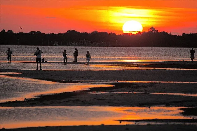 9924 ybor city honeymoon