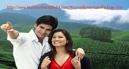 9925 munnar honeymoon couple