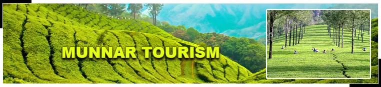 9925 munnar waterfall