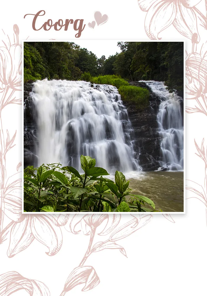 9929 coorg luxury hotel