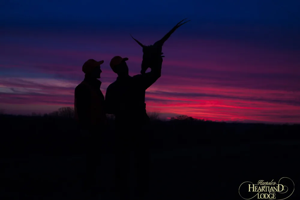 9931 alaskan wilderness