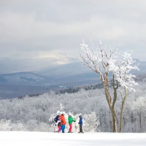 9953 shimla activities